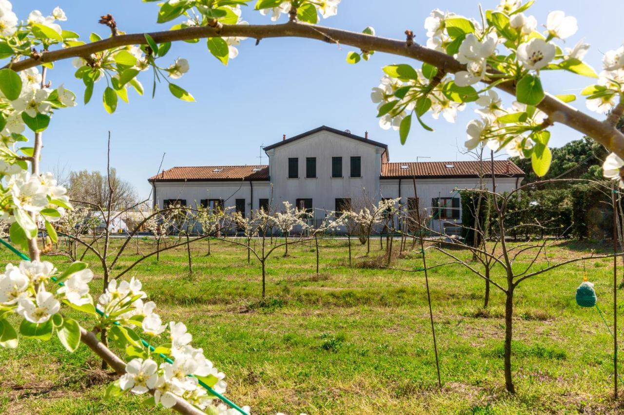 Agriturismo Ca' Baccan Cavallino-Treporti Eksteriør bilde
