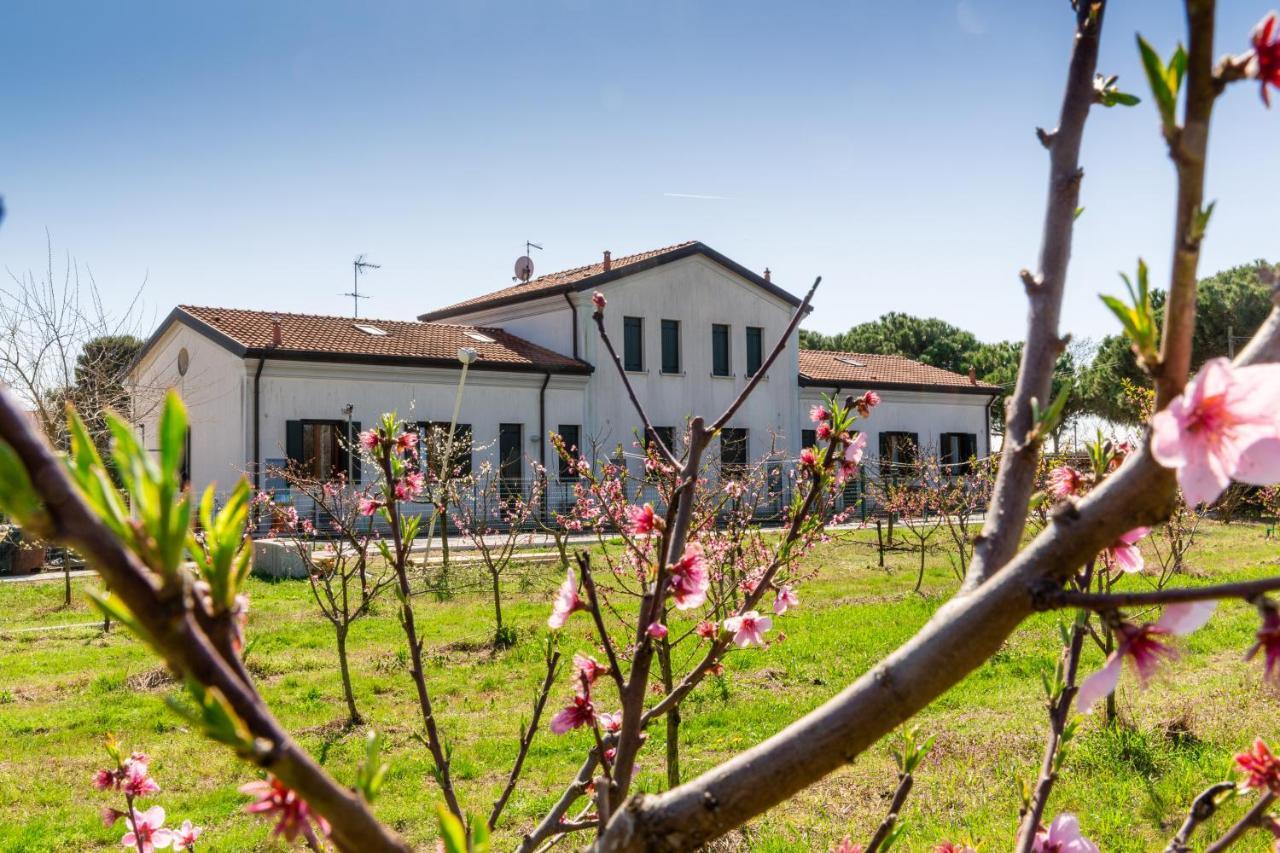 Agriturismo Ca' Baccan Cavallino-Treporti Eksteriør bilde